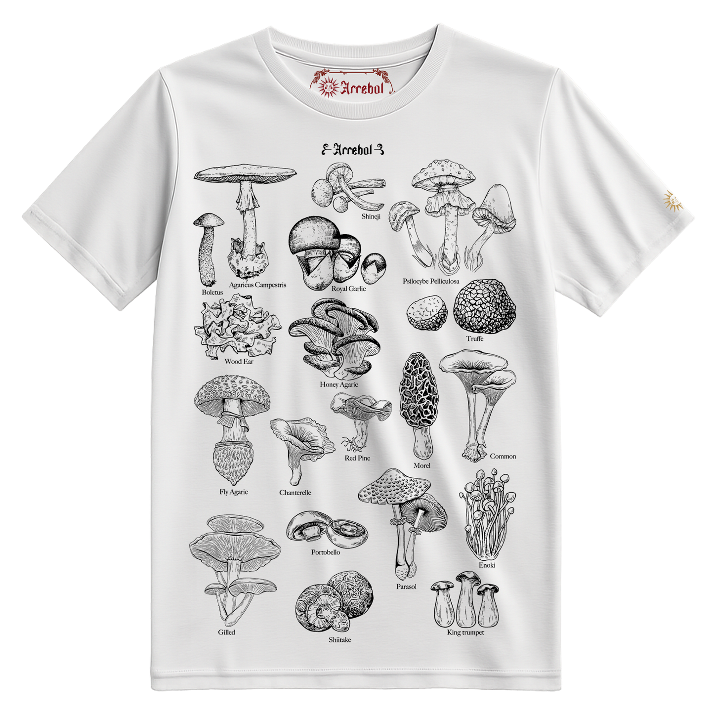 HONGOS - REINO FUNGI - MICOLOGÍA - POLERA