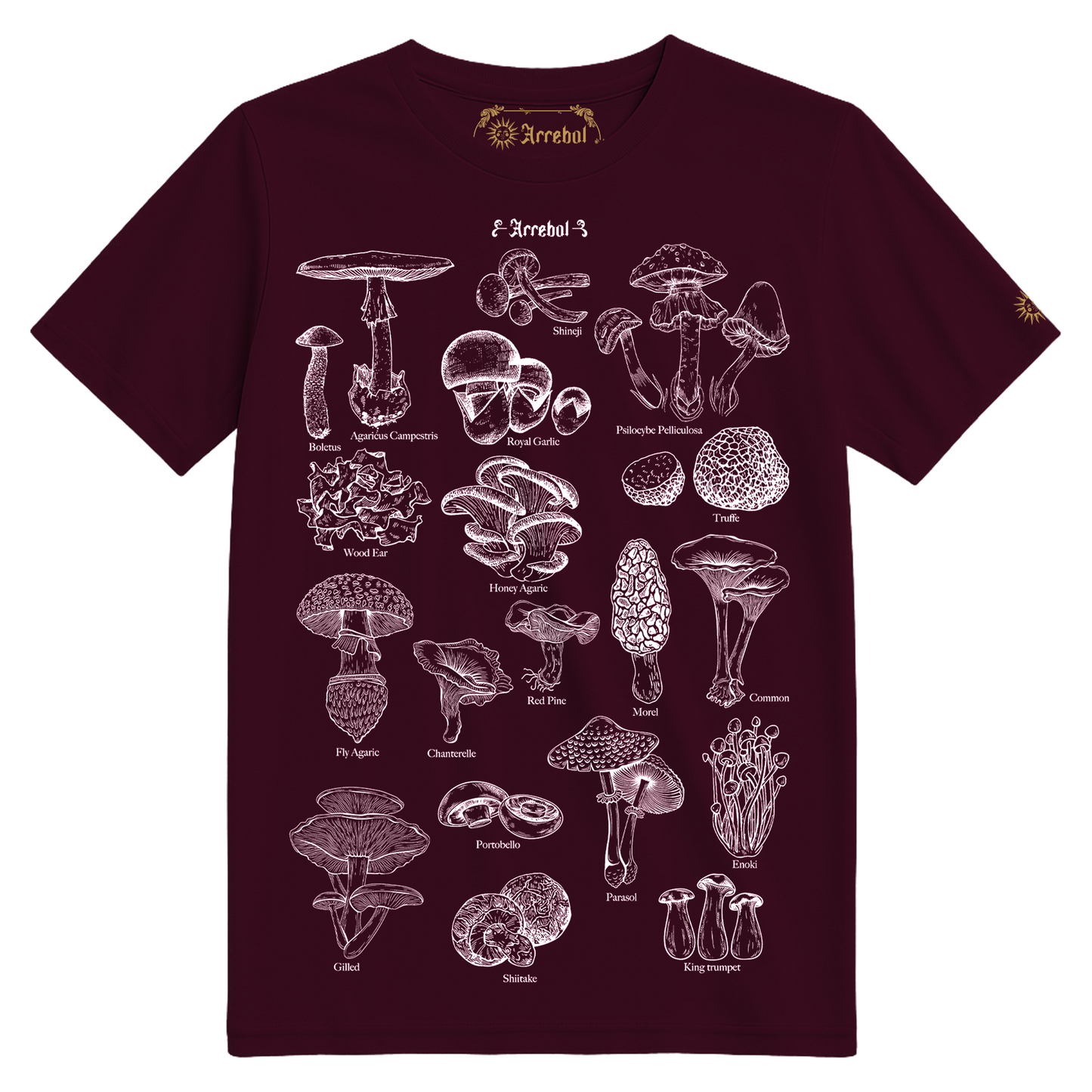 HONGOS - REINO FUNGI - MICOLOGÍA - POLERA