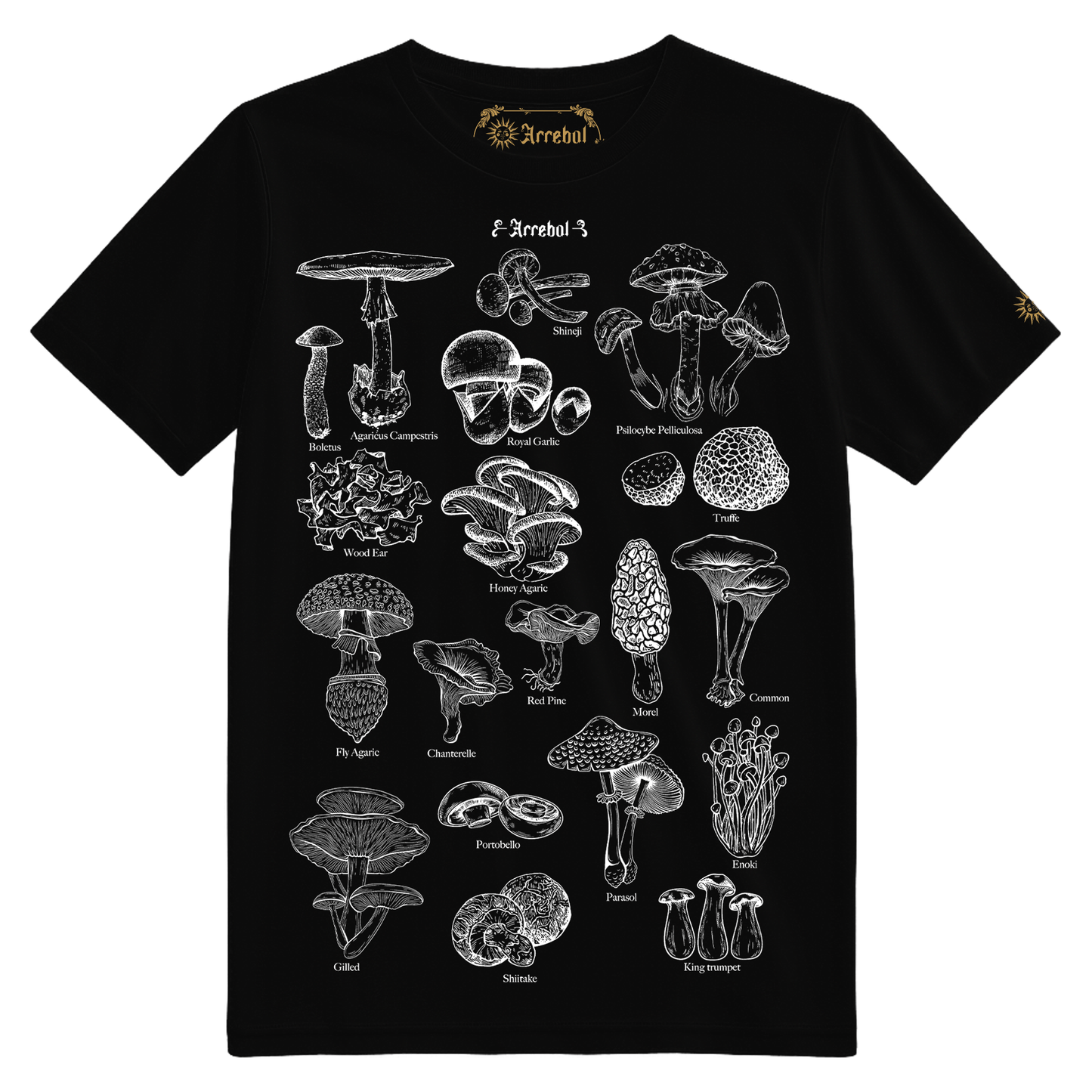 HONGOS - REINO FUNGI - MICOLOGÍA - POLERA