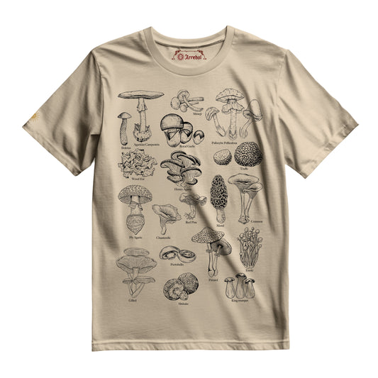 HONGOS - REINO FUNGI - MICOLOGÍA - POLERA